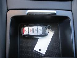 2025 GWM Cannon Premium