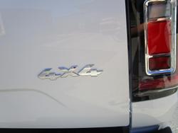 2025 GWM Cannon Premium