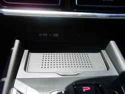 2025 GWM Cannon Premium