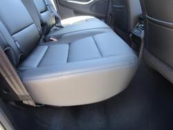 2025 GWM Cannon Premium