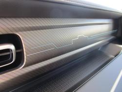 2025 GWM Cannon Premium