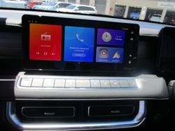 2025 GWM Cannon Premium