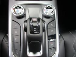 2025 GWM Tank 300 Lux