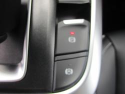 2025 GWM Tank 300 Lux