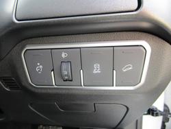 2025 GWM
Tank 300 Lux