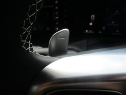2025 GWM Tank 300 Lux