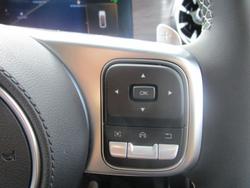 2025 GWM Tank 300 Lux