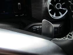 2025 GWM Tank 300 Lux