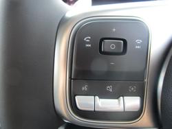 2025 GWM Tank 300 Lux