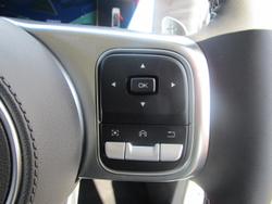 2025 GWM
Tank 300 Ultra