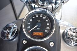 2017 Harley-davidson FXDL LOW RIDER SILVER