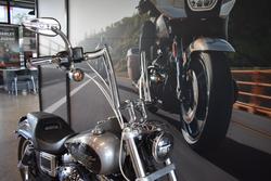 2017 Harley-davidson FXDL LOW RIDER SILVER