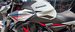 2022 Kawasaki Z650L (LAMS) WHITE
