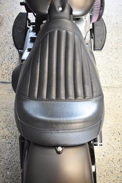 2021 Harley-davidson FLSL SOFTAIL SLIM (107)