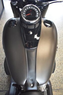 2021 Harley-davidson FLSL SOFTAIL SLIM (107)
