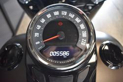 2021 Harley-davidson FLSL SOFTAIL SLIM (107)