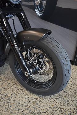 2021 Harley-davidson FLSL SOFTAIL SLIM (107)