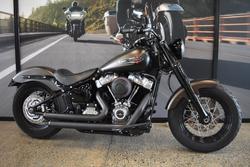 Harley-Davidson FLSL Softail Slim (107)