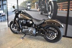 2021 Harley-davidson FLSL SOFTAIL SLIM (107)
