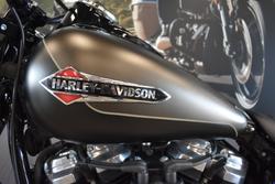 2021 Harley-davidson FLSL SOFTAIL SLIM (107)