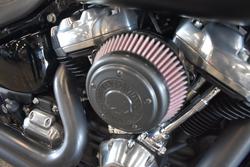 2021 Harley-davidson FLSL SOFTAIL SLIM (107)