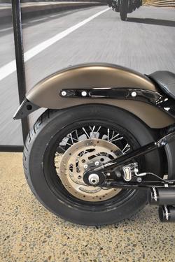 2021 Harley-davidson FLSL SOFTAIL SLIM (107)