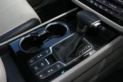 2019 Kia Carnival Platinum