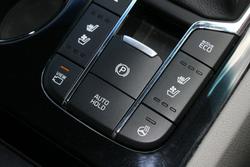 2019 Kia Carnival Platinum