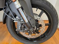 2024 Suzuki V-STROM 800 (DL800RQ) Green