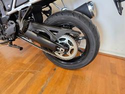 2024 Suzuki V-STROM 800 (DL800RQ) Green