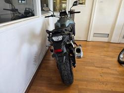 2024 Suzuki V-STROM 800 (DL800RQ) Green