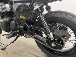 2025 Royal Enfield 2025 650CC INTERCEPTOR BEAR 650 Road