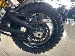 2022 Ducati Desert X Desert X White