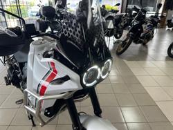 2022 Ducati Desert X Desert X White