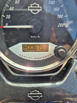 2018 Harley-Davidson Street 500 (XG500)