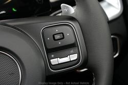 2025 GWM Cannon Premium