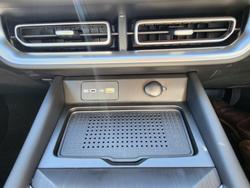 2025 GWM Cannon Premium