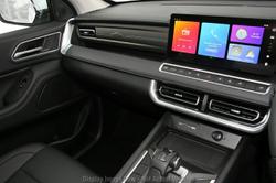 2025 GWM Cannon Premium