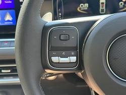 2025 GWM Cannon Premium