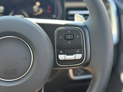 2025 GWM Cannon Premium