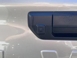 2025 GWM Cannon Premium