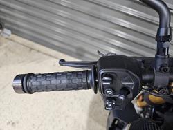 2023 INDIAN FTR R 1200 CARBON BLUE