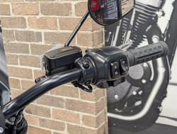 2025 Harley-Davidson Low Rider S 117 (FXLRS) Softail