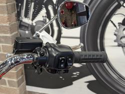 2025 Harley-Davidson Fat Boy 117 (FLFB) Softail