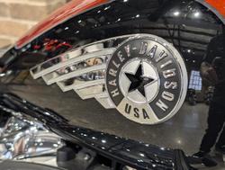 2025 Harley-Davidson Fat Boy 117 (FLFB) Softail