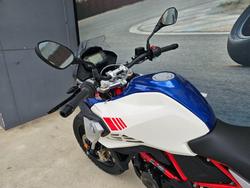 2025 BMW Motorrad G 310 GS WHITE/BLUE