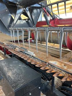 2021 CASE IH 4R40 Draper Front & Trailer