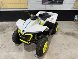 CFMOTO C Force EV110