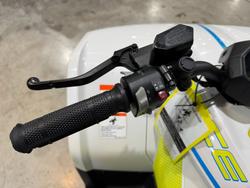 2025 CFMOTO C FORCE EV110 WHITE