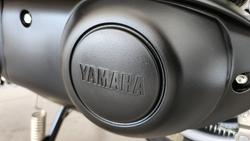 2023 Yamaha D'elight 125 (LTS125-C) D'elight White